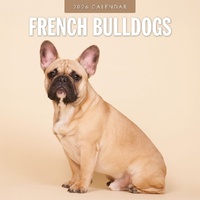 French Bulldogs - 2026 Red Robin Square Wall Calendar Monthly Planner