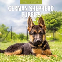 German Shepherd Puppies - 2026 Red Robin Square Wall Calendar Monthly Planner