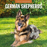 German Shepherds - 2026 Red Robin Square Wall Calendar Monthly Planner