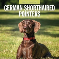 German Shorthaired Pointers - 2026 Red Robin Square Wall Calendar Monthly Planner