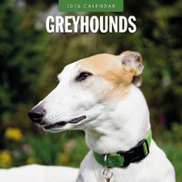 Greyhounds - 2026 Red Robin Square Wall Calendar Monthly Planner