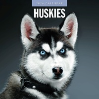 Huskies - 2026 Red Robin Square Wall Calendar Monthly Planner