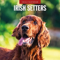 Irish Setters - 2026 Red Robin Square Wall Calendar Monthly Planner