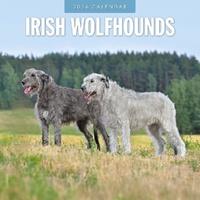 Irish Wolf Hounds - 2026 Red Robin Square Wall Calendar Monthly Planner