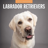 Labrador Retrievers - 2026 Red Robin Square Wall Calendar Monthly Planner