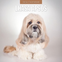 Lhasa Apsos - 2026 Red Robin Square Wall Calendar Monthly Planner