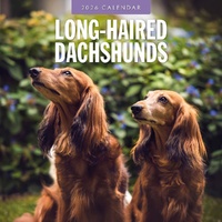 Long-haired Dachshunds - 2026 Red Robin Square Wall Calendar Monthly Planner