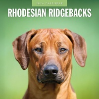 Rhodesian Ridgebacks - 2026 Red Robin Square Wall Calendar Monthly Planner