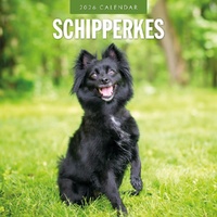 Schipperkes - 2026 Red Robin Square Wall Calendar Monthly Planner