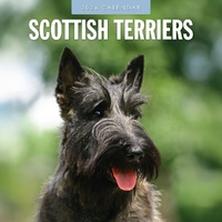 Scottish Terriers - 2026 Red Robin Square Wall Calendar Monthly Planner