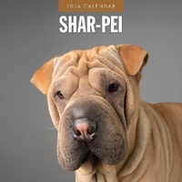 Shar-Pei - 2026 Red Robin Square Wall Calendar Monthly Planner