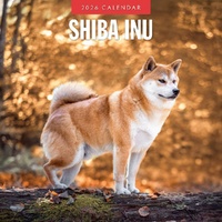 Shiba Inu - 2026 Red Robin Square Wall Calendar Monthly Planner