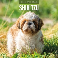 Shih Tzu - 2026 Red Robin Square Wall Calendar Monthly Planner