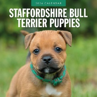 Staffordshire Bull Terrier Puppies - 2026 Red Robin Square Wall Calendar Planner