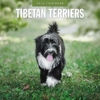 Tibetan Terriers - 2026 Red Robin Square Wall Calendar Monthly Planner