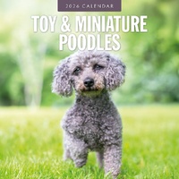 Toy and Miniature Poodles - 2026 Red Robin Square Wall Calendar Monthly Planner