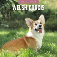 Welsh Corgis - 2026 Red Robin Square Wall Calendar Monthly Planner