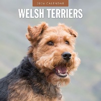 Welsh Terriers - 2026 Red Robin Square Wall Calendar Monthly Planner