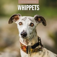 Whippets - 2026 Red Robin Square Wall Calendar Monthly Planner
