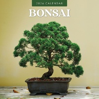 Bonsai - 2026 Red Robin Square Wall Calendar Monthly Planner