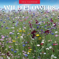 Wild Flowers - 2026 Red Robin Square Wall Calendar Monthly Planner