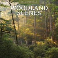 Woodland Scenes - 2026 Red Robin Square Wall Calendar Monthly Planner