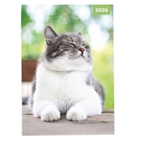 Adorable Cats - 2026 Red Robin A5 Padded Diary Planner Soft Cover Cat Lovers