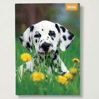 Adorable Dogs - 2026 Red Robin A5 Padded Diary Planner Soft Cover Dog Lovers