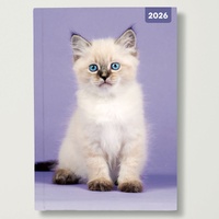 Cats and Kittens - 2026 Red Robin A5 Padded Diary Planner for Cat Fans