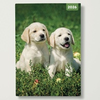 Dogs and Puppies - 2026 Red Robin A5 Padded Diary Planner for Dog Fans