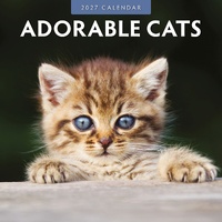 Adorable Cats - 2027 Red Robin Square Wall Calendar Monthly Planner