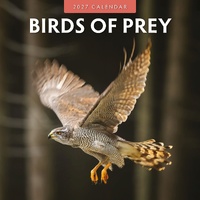 Birds of Prey - 2027 Red Robin Square Wall Calendar Monthly Planner