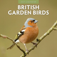 British Garden Birds - 2027 Red Robin Square Wall Calendar Monthly Planner