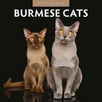 Burmese Cats - 2027 Red Robin Square Wall Calendar Monthly Planner