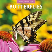 Butterflies - 2027 Red Robin Square Wall Calendar Monthly Planner