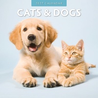 Cats & Dogs - 2027 Red Robin Square Wall Calendar Monthly Planner