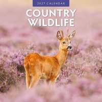 Country Wildlife - 2027 Red Robin Square Wall Calendar Monthly Planner