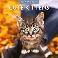 Cute Kittens - 2027 Red Robin Square Wall Calendar Monthly Planner