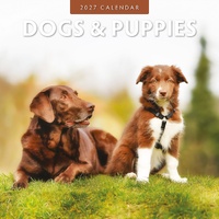 Dogs & Puppies - 2027 Red Robin Square Wall Calendar Monthly Planner