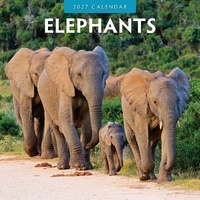Elephants - 2027 Red Robin Square Wall Calendar Monthly Planner