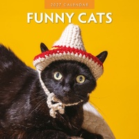 Funny Cats - 2027 Red Robin Square Wall Calendar Monthly Planner