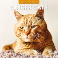 Ginger Cats - 2027 Red Robin Square Wall Calendar Monthly Planner