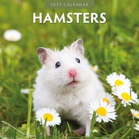 Hamsters  - 2027 Red Robin Square Wall Calendar Monthly Planner