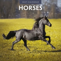 Horses - 2027 Red Robin Square Wall Calendar Monthly Planner