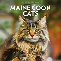 Maine Coon Cats - 2027 Red Robin Square Wall Calendar Monthly Planner
