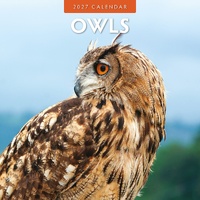 Owls  - 2027 Red Robin Square Wall Calendar Monthly Planner