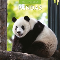 Pandas - 2027 Red Robin Square Wall Calendar Monthly Planner
