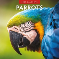 Parrots  - 2027 Red Robin Square Wall Calendar Monthly Planner