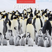 Penguins - 2027 Red Robin Square Wall Calendar Monthly Planner