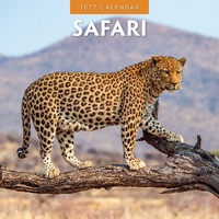 Safari - 2027 Red Robin Square Wall Calendar Monthly Planner